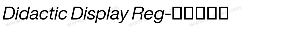 Didactic Display Reg字体转换